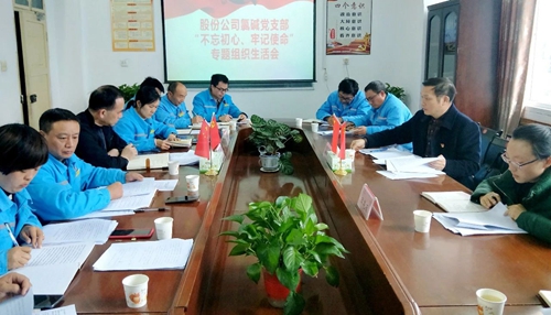 向宇飛列席指導(dǎo)股份公司氯堿黨支部“不忘初心、牢記使命”專(zhuān)題組織生活會(huì)