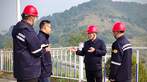 王大真到松滋肥業(yè)、楚星公司、新材料公司和股份公司現(xiàn)場(chǎng)調(diào)研